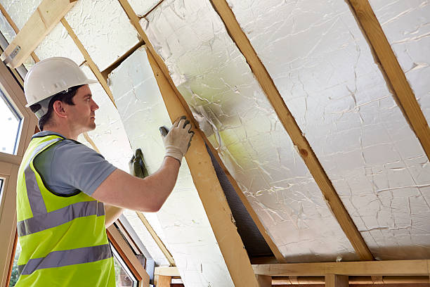 Best Insulation Removal Services  in Argos, IN